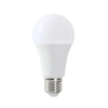 LED A Bulb