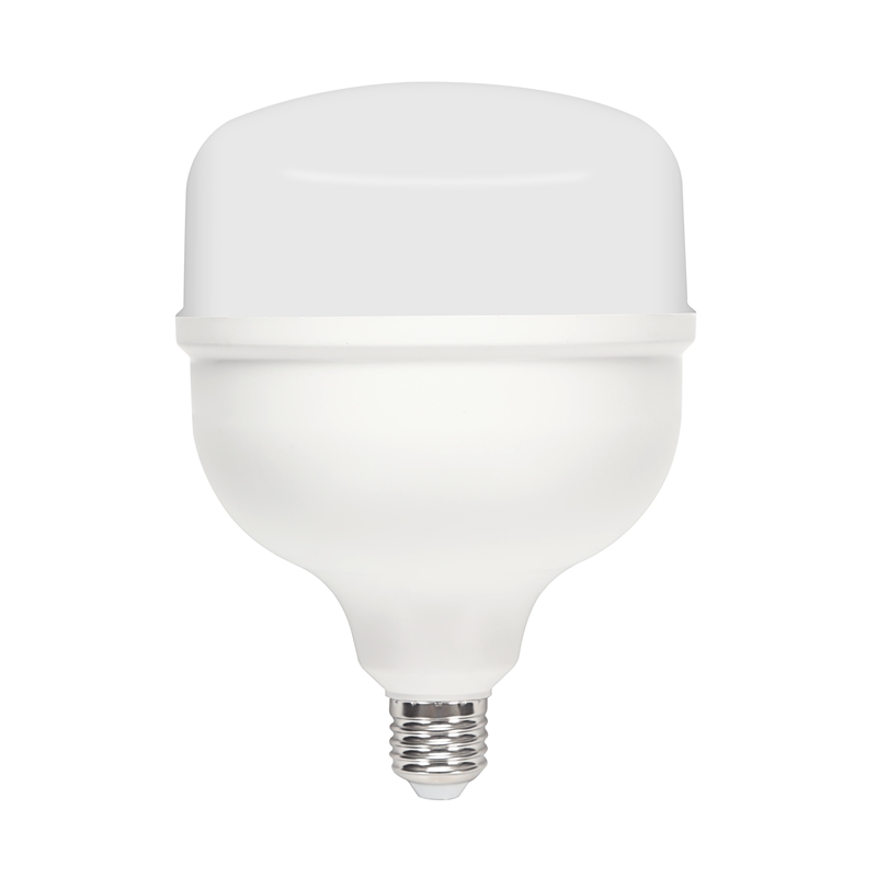 LED T Bulb