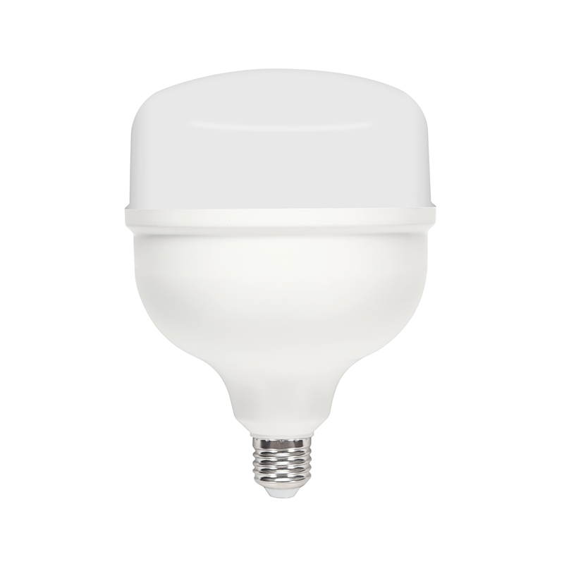 LED T Bulb